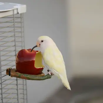 Кормушка для птиц Принадлежности для волнистых попугайчиков Оборудование для защиты пионовых попугаев от воды Коробка для фруктов Корыто от брызг
